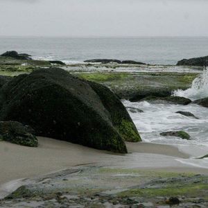 Meet your Posher, Pamela